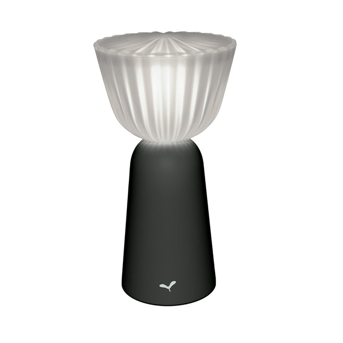 Swiing Portable LED Lamp