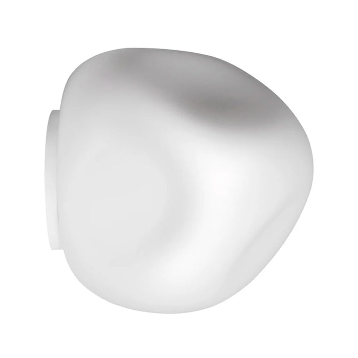 Hoba Wall & Ceiling Light