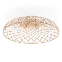 Skynest Ceiling Light