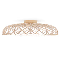 Skynest Ceiling Light