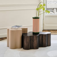 Teatro Magico Low Table