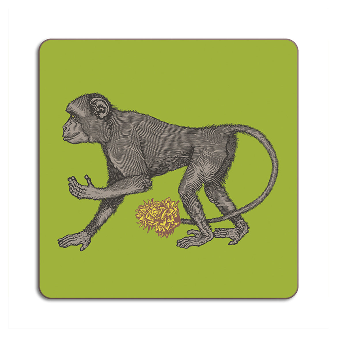 Placemat Animals - Avenida