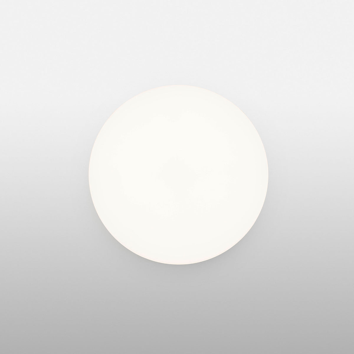 Clara Wall & Ceiling Light, White - Flos