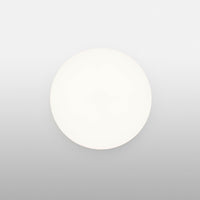 Clara Wall & Ceiling Light, White - Flos