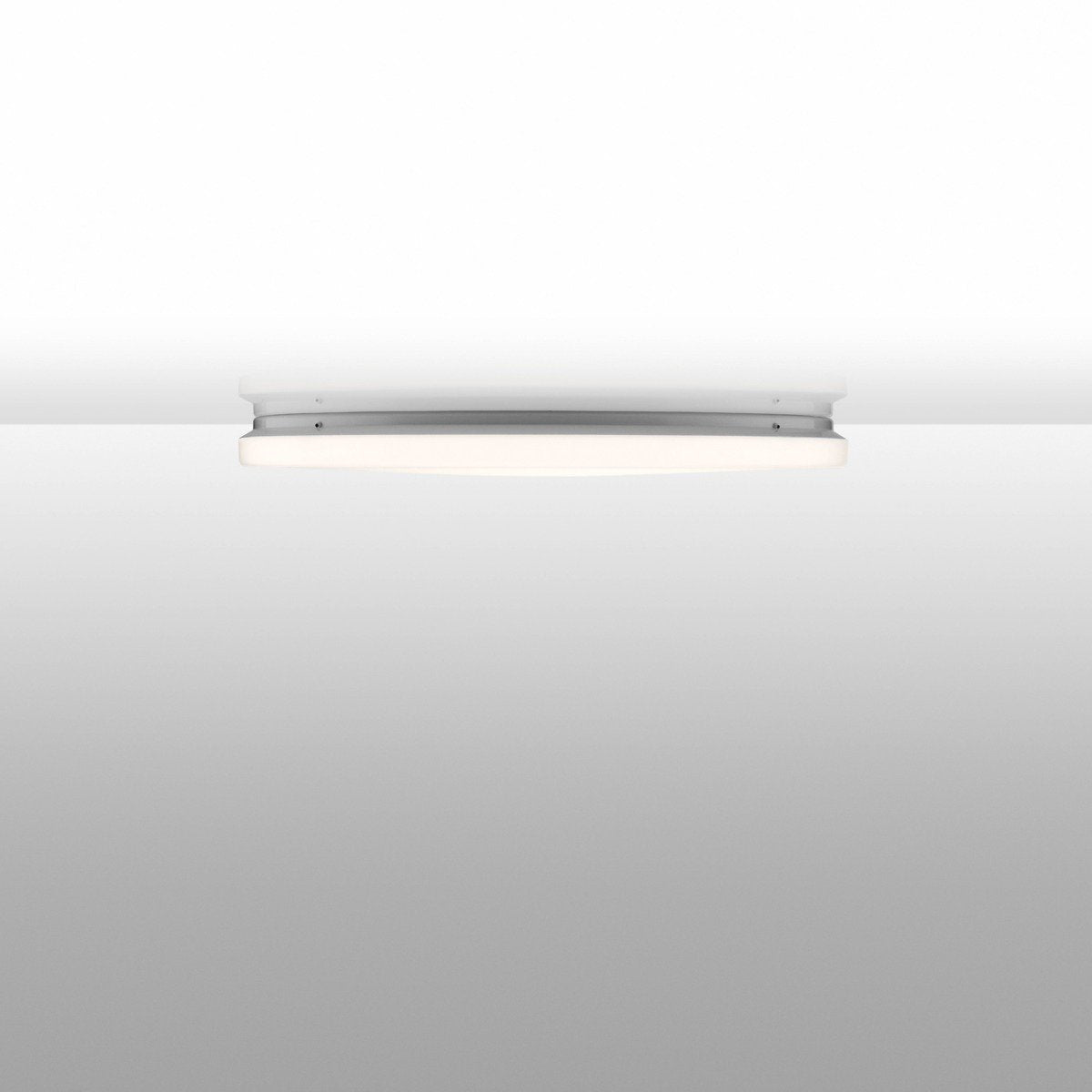 Clara Wall & Ceiling Light, White - Flos