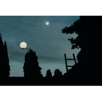 IC Outdoor Floor Lamp, F2 - Flos